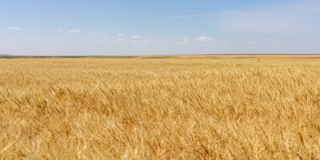 TBD S Road 90, Chester, MT 59530