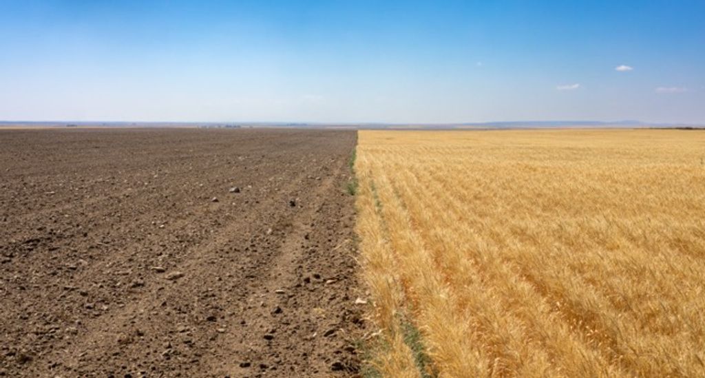 TBD S Road 90, Chester, MT 59530 photo 2