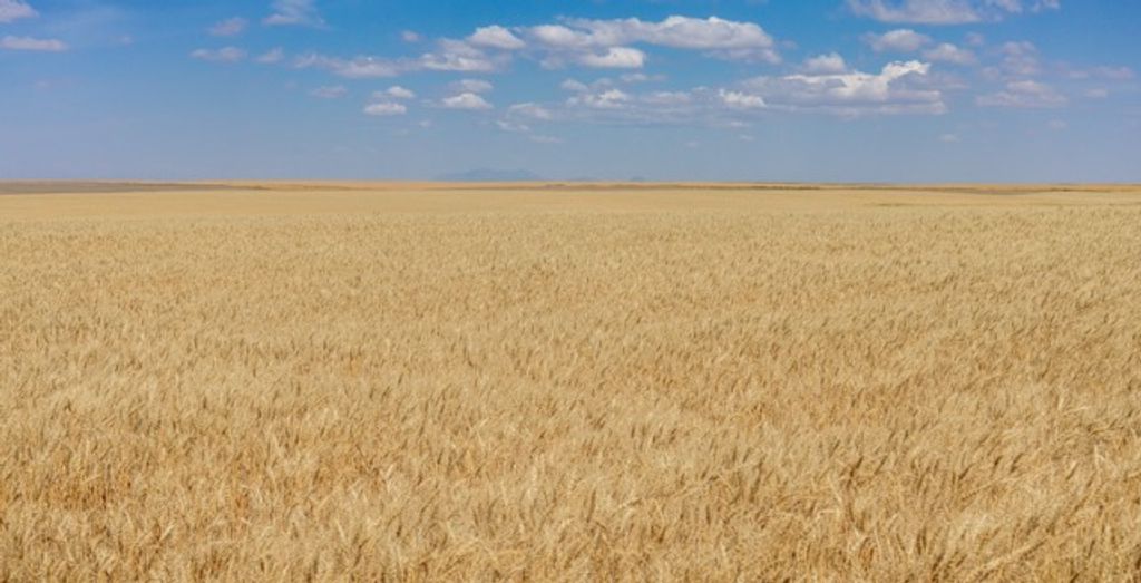 TBD S Road 90, Chester, MT 59530 photo 3