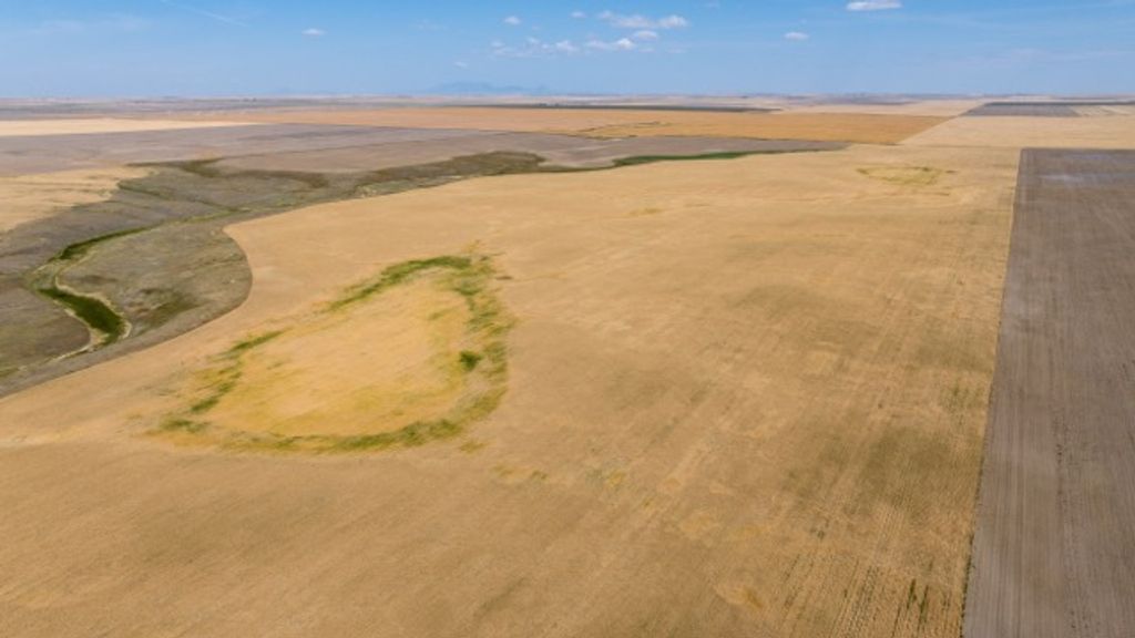 TBD S Road 90, Chester, MT 59530 photo 5