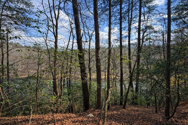 0 Hamlet Court, Ellijay, GA 30540