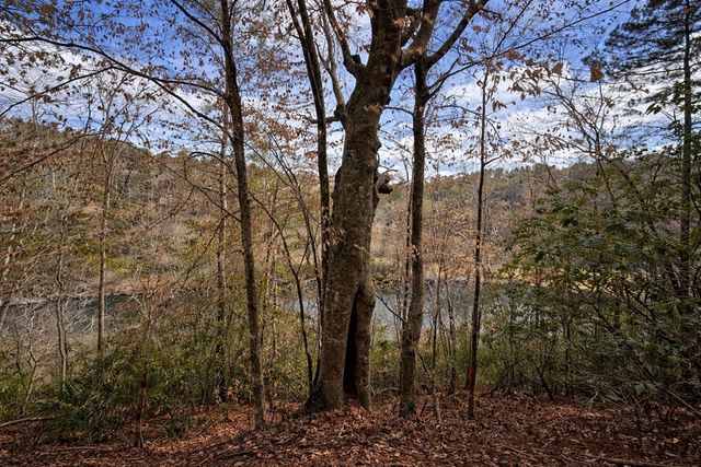 0 Hamlet Court, Ellijay, GA 30540