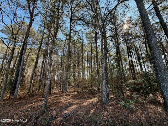 0 Sandy Ridge Road, Tyner, NC 27980