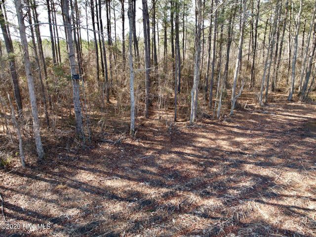 0 Sandy Ridge Road, Tyner, NC 27980