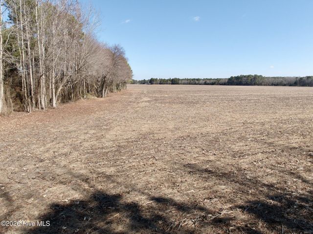 0 Sandy Ridge Road, Tyner, NC 27980