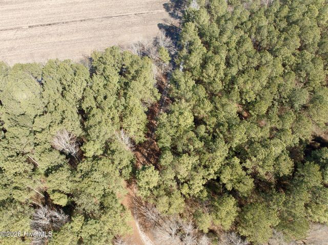 0 Sandy Ridge Road, Tyner, NC 27980