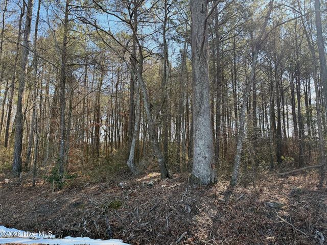 0 Sandy Ridge Road, Tyner, NC 27980