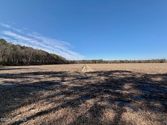 0 Sandy Ridge Road, Tyner, NC 27980