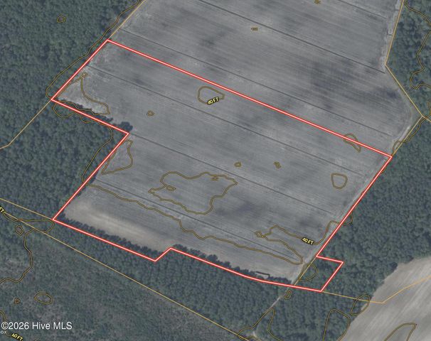 0 Sandy Ridge Road, Tyner, NC 27980