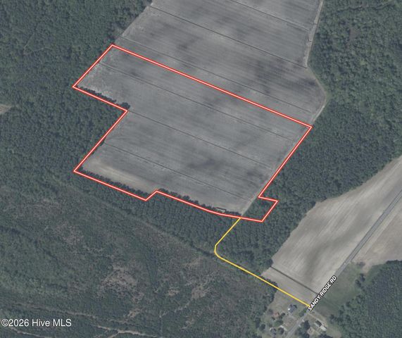 0 Sandy Ridge Road, Tyner, NC 27980