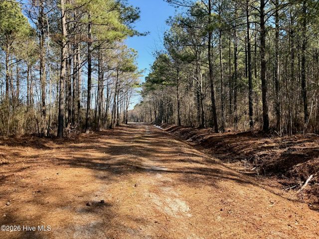 0 Sandy Ridge Road, Tyner, NC 27980