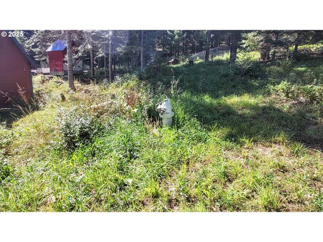 50627 ALLEN St, Halfway, OR 97834