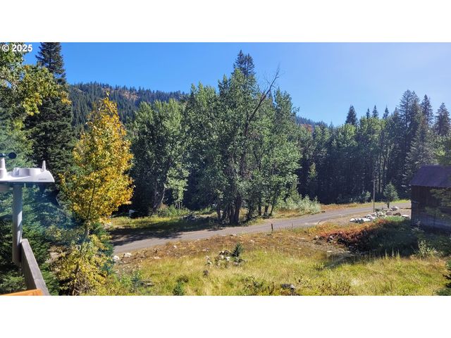 50627 ALLEN St, Halfway, OR 97834