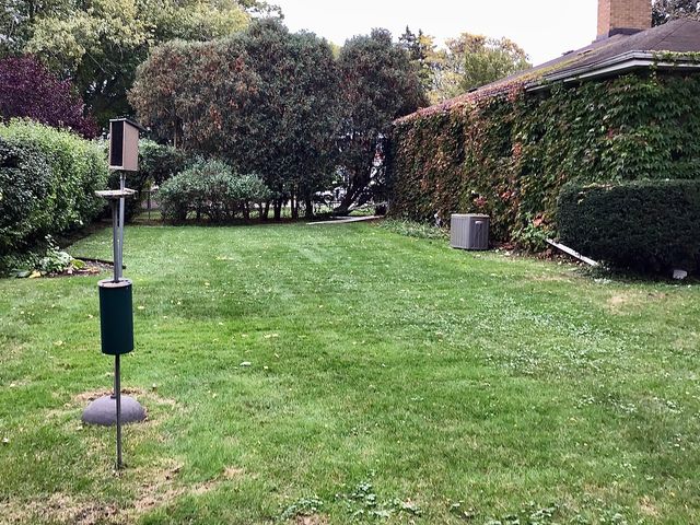 9532 Springfield Avenue, Evanston, IL 60203