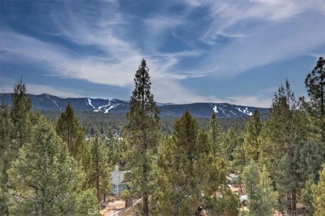 1051 Mound, Big Bear City, CA 92314