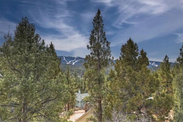 1051 Mound, Big Bear City, CA 92314