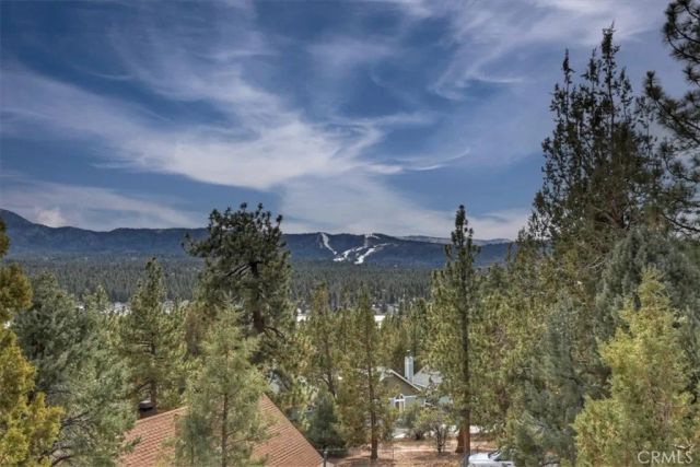 1051 Mound, Big Bear City, CA 92314