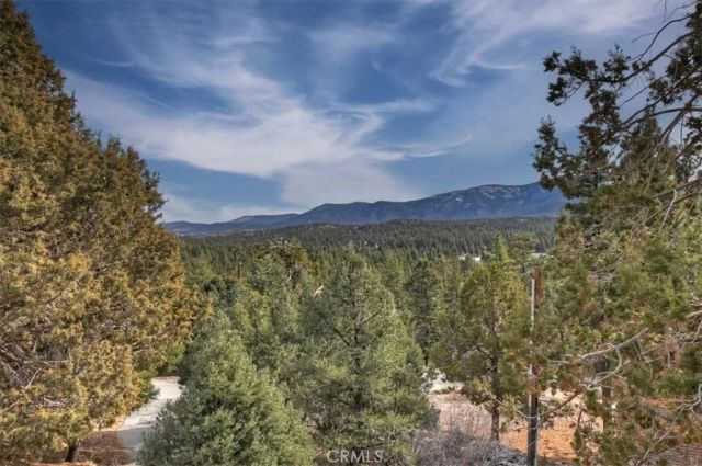 1051 Mound, Big Bear City, CA 92314