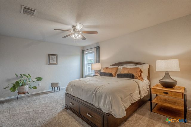 2437 Arctic Warbler, New Braunfels, TX 78130