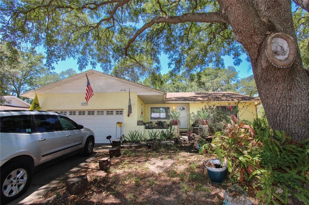 1229 OAK VALLEY DRIVE, Seffner, FL 33584