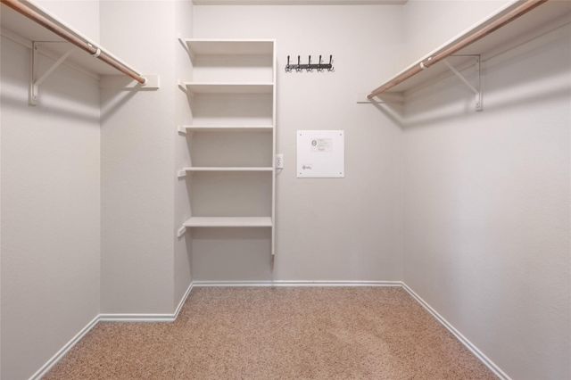 1432 Anise DR, Austin, TX 78741