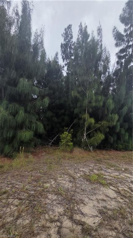 1121 NW 24th PL, CAPE CORAL, FL 33993 — photo 2