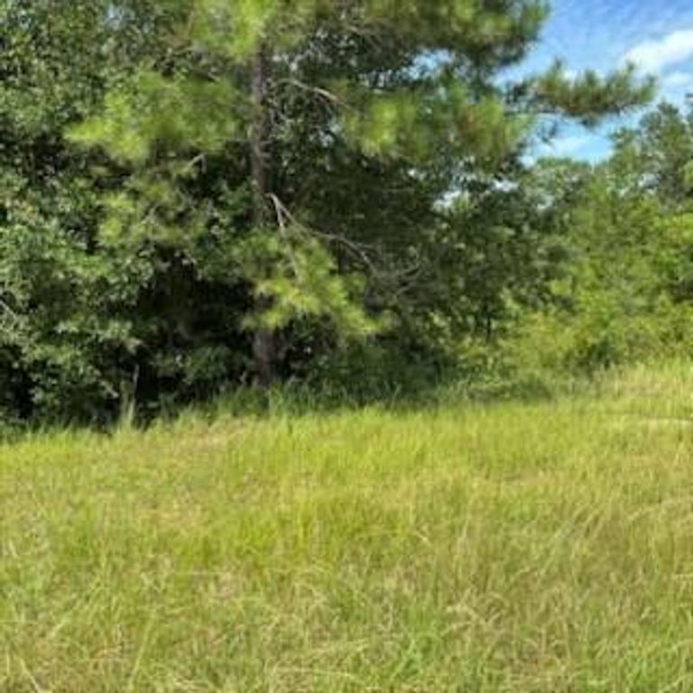 2155 Turtle Creek Lane N, Mobile, AL 36695 — photo 2