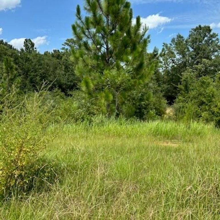 2155 Turtle Creek Lane N, Mobile, AL 36695 — photo 4