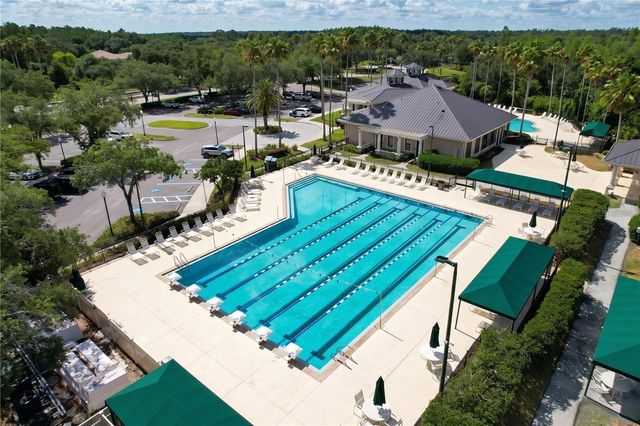 10144 ARBOR RUN DRIVE 31, Tampa, FL 33647