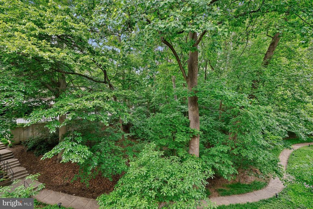 Image 16 of property listing at 4970 SENTINEL DR #11-405, Bethesda, MD 20816