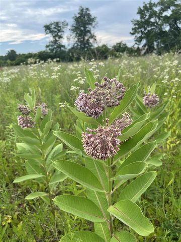 S Zeeb Road, Ann Arbor, MI 48103