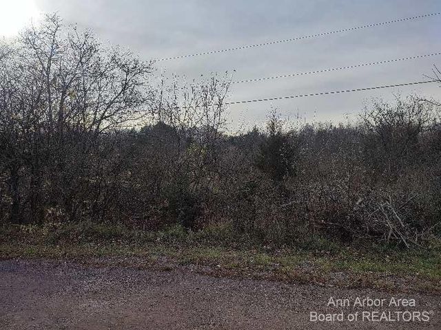 2897 Bateson Court, Ann Arbor, MI 48105