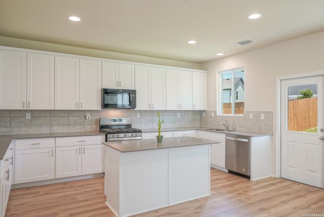 27422 Bighorn Sheep, Boerne, TX 78015