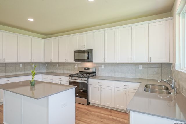 27422 Bighorn Sheep, Boerne, TX 78015