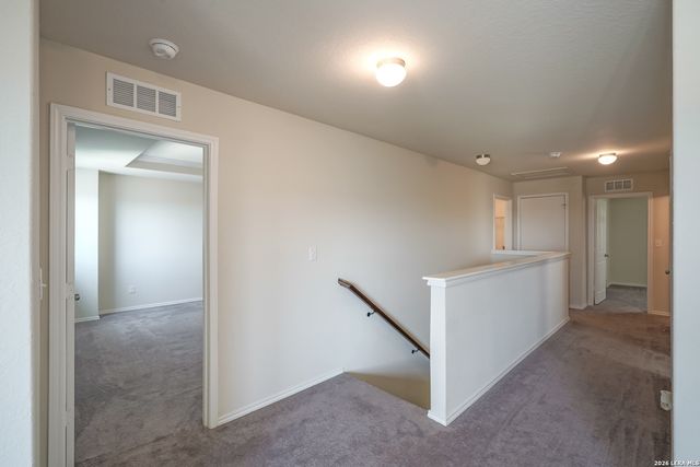 27422 Bighorn Sheep, Boerne, TX 78015