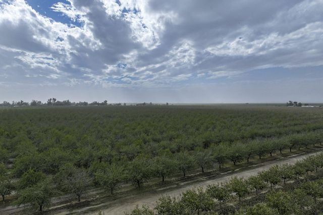 0 Ave. 80, Pixley, CA 93256