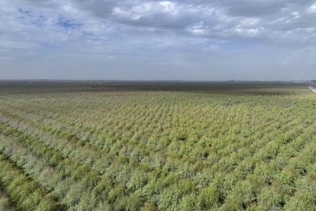 0 Ave. 80, Pixley, CA 93256