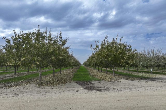 0 Ave. 80, Pixley, CA 93256