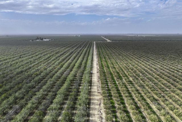 0 Ave. 80, Pixley, CA 93256