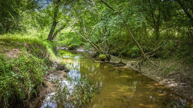 421 Twin Creeks, Blue Ridge, GA 30513
