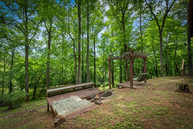 421 Twin Creeks, Blue Ridge, GA 30513