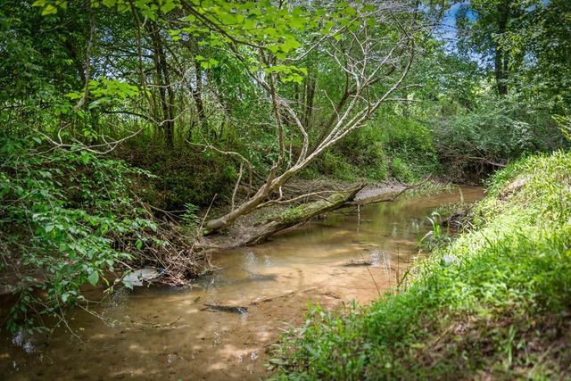 421 Twin Creeks, Blue Ridge, GA 30513