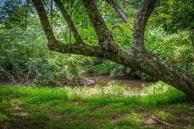 421 Twin Creeks, Blue Ridge, GA 30513
