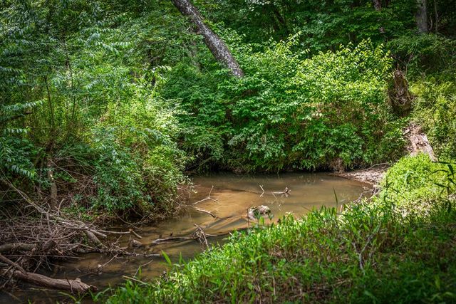 421 Twin Creeks, Blue Ridge, GA 30513