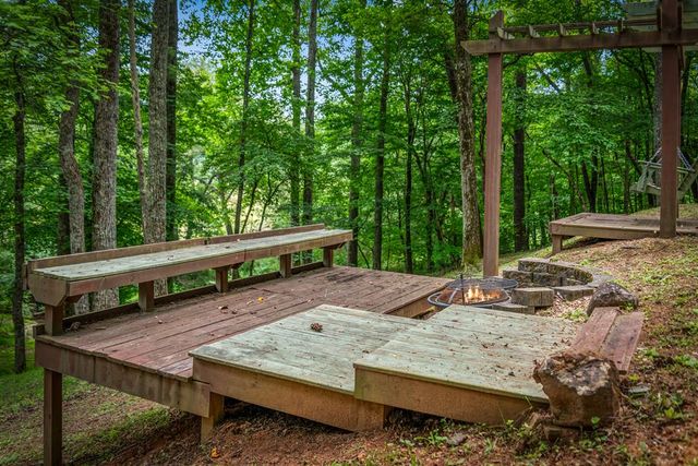 421 Twin Creeks, Blue Ridge, GA 30513