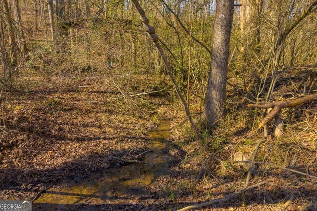 446 Flat Creek Drive, Dawsonville, GA 30534