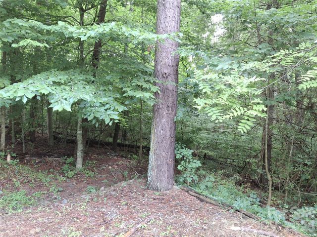 232 Tilson Drive, Mars Hill, NC 28754