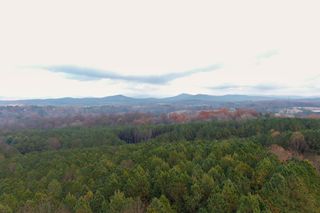 0 Foxpaw Leaf Lane, Ellijay, GA 30536