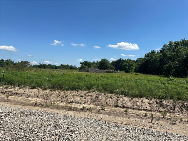 Lot 5 County Road 1110, Farmersville, TX 75442