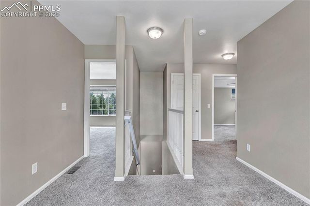 6225 Laurel grass range Trail, Colorado Springs, CO 80925